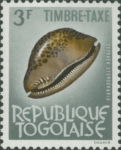 Cypraea stercoraria