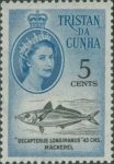 Decapterus longimanus
