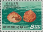 Entemnotrochus rumphii