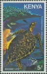 Eretmochelys imbricata
