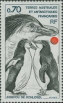Eudyptes schlegeli