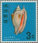 Euprotomus bullata