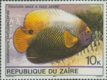 Euxiphipops xanthometopon