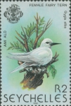 Gygis alba
