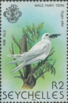 Gygis alba