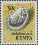 Haliotis varia