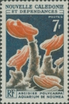 Manteldieren