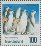 Pygoscelis antarctica