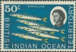 Sphyraena barracuda