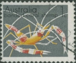Stenopus hispidus