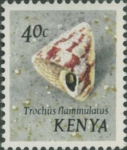 Trochus flammulatus