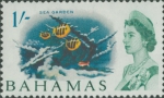 JPG file