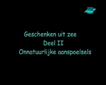 Activiteiten aan de kust