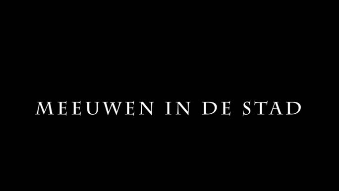 Activiteiten aan de kust