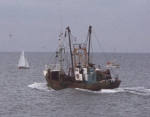 N.551 Sandra (Bouwjaar 1957), author: Gino Provost