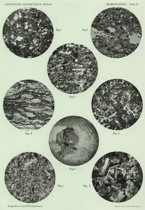 Pelikan (1909, pl. 2)