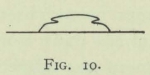 Arctowski (1902, fig. 10)