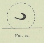 Arctowski (1902, fig. 12)