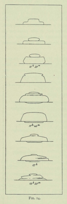 Arctowski (1902, fig. 14)