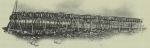 Duc d'Orléans (1909, fig. 012) Duc d'Orléans (1909, fig. 012)