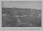 Rahir (1928, fig. 05) Rahir (1928, fig. 05)