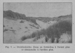 Rahir (1928, fig. 07) Rahir (1928, fig. 07)
