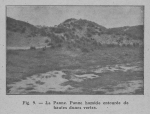 Rahir (1928, fig. 09) Rahir (1928, fig. 09)