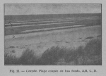 Rahir (1928, fig. 11) Rahir (1928, fig. 11)