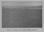 Rahir (1928, fig. 13) Rahir (1928, fig. 13)