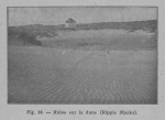 Rahir (1928, fig. 14) Rahir (1928, fig. 14)