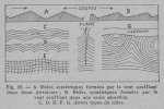 Rahir (1928, fig. 15) Rahir (1928, fig. 15)