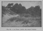 Rahir (1928, fig. 22) Rahir (1928, fig. 22)