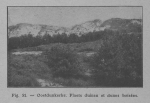 Rahir (1928, fig. 51) Rahir (1928, fig. 51)