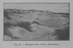 Rahir (1928, fig. 54) Rahir (1928, fig. 54)