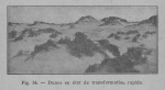 Rahir (1928, fig. 56) Rahir (1928, fig. 56)