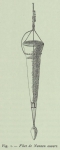 Duc d'Orléans (1909, appx. fig. 1) Duc d'Orléans (1909, appx. fig. 1)
