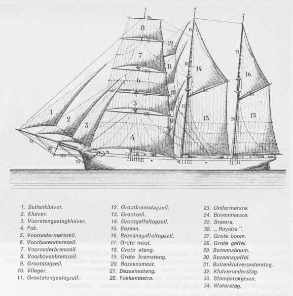 Desnerck (1976, fig. 172) Desnerck (1976, fig. 172)