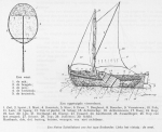 Desnerck (1976, fig. 360) Desnerck (1976, fig. 360)