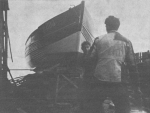 Desnerck (1976, fig. 409) Desnerck (1976, fig. 409)