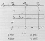 Desnerck (1976, fig. 436) Desnerck (1976, fig. 436)