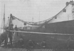 Desnerck (1976, fig. 438) Desnerck (1976, fig. 438)