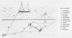 Desnerck (1976, fig. 439) Desnerck (1976, fig. 439)
