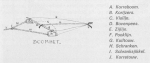 Desnerck (1976, fig. 440) Desnerck (1976, fig. 440)