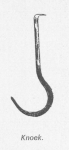 Desnerck (1976, fig. 455) Desnerck (1976, fig. 455)