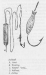 Desnerck (1976, fig. 456) Desnerck (1976, fig. 456)