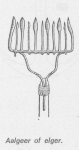 Desnerck (1976, fig. 481) Desnerck (1976, fig. 481)