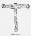 Desnerck (1976, fig. 496) Desnerck (1976, fig. 496)