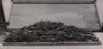 Gilson (1914, fig. 025) Gilson (1914, fig. 025)