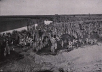 Zaadplanten
