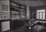 Gilson (1914, fig. 114) Gilson (1914, fig. 114)
